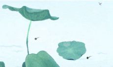 2022年的闰月是哪个月?今年和明年都将有闰月,分别是几月份呢?