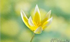 通过测试，看看你有多少爱情废材属性？