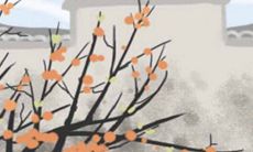 进行测试,看看你这一生的经济来源注定是什么