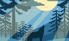 探究各血型不受欢迎的因由:揭秘血型漫画!