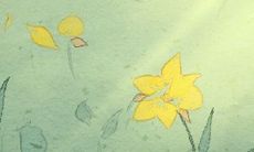 通过研究发现,不同血型的人在学习能力方面存在差异,究竟哪一种血型的学习能力最强?