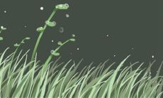 解密摩羯座的感情：究竟会不会随意爱上一个人？