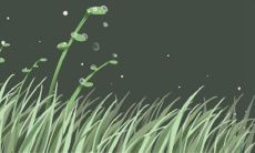 双鱼座是否有可能在随意爱上一个人的情况下变得无法自拔？