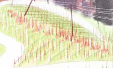 这些明星和双鱼座格格不入，看起来完全不像双鱼座！