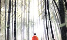 如何在面对超内向的女生时,狮子男以最佳方法展开追求之路?