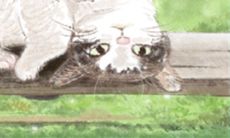 天秤座男生的高超恋爱伪装技巧:掌握心理学术语成为爱情把戏高手