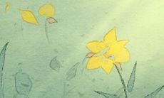 揭秘：处女座男生为骗你上钩编织的一系列谎言！