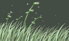 如何通过射手座男女的检验真爱方法来证明你们的感情？