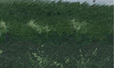 具有何种特质的男生是双鱼座女生所偏爱的？