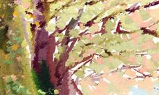 如何改善处女座在爱情中的缺点：一位小编的实用建议