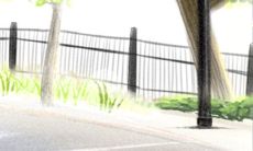 探寻巨蟹座通往爱情的攻略：揭示巨蟹座的心理秘密与情感战术