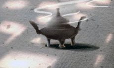 如何稳妥地追到射手座男生?分享几种高效招式