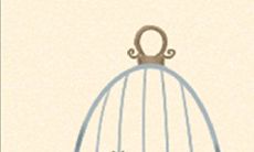 详解处女座房间的杂乱程度及其特征指标