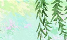 揭秘巨蟹座恋爱中的“断链”症结：为什么他们总是难以维持长久的情感联系？