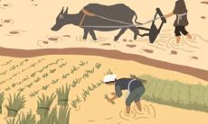 摩羯座必知的正能量获取策略:如何摆脱消极情绪,拥抱积极生活!