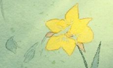 处女座追求完美,喜欢展现自己的优点,那么他们最爱“晒”什么呢?