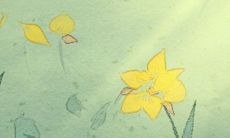 患上相思病后如何治疗? 12星座应该怎样应对?