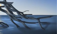 探讨巨蟹座恋爱中的五大不良行为习惯：挑剔、过度情绪化、缺乏沟通能力、难以释放过往的情感包袱以及对爱情过于附着