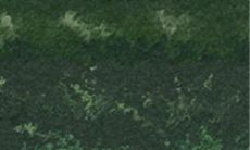 水瓶座女子青睐何样的异性伴侣:心智独立、行动自主且有领导能力的男性倾心人选