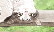 2013年适合狮子座女生佩戴的能带来幸运的石头