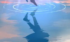 白羊座情人节的最佳定情礼物推荐：惊喜实用好评如潮的精选宝藏！[附详细图片介绍]