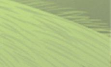 如何激起12个星座女性的兴趣并成功追求男性的心?