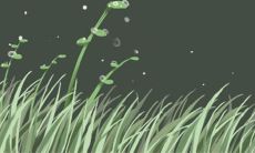 水瓶座男生：性格中的阴险度探究与分析