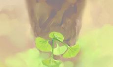 事情?为什么摩羯座男生喜欢过多控制女友的行为和决定?