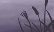 作为一个巨蟹座，最让你害怕的三种情况是什么？