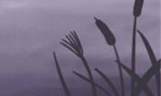 处女座的三大恐惧,你不容错过!