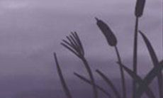 摩羯座的禁忌:绕不开的三大厄运