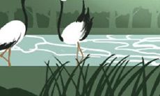 揭秘巨蟹座神话传说:揭开神代巨蟹座的神秘面纱