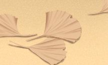 深度探索天秤座神话传说，解开其神秘面纱！