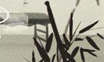 双子座女生的多变魅力:她们的变化无穷,让你难以抗拒