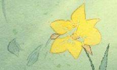 双鱼座应该如何有效地表达和处理自己的不满情绪,以避免潜在的沟通和关系问题?