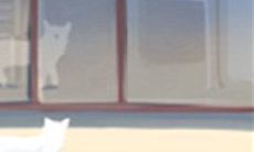 在天秤座星座中，谁才是最称职的解忧良方，能够为你提供完美的安慰和支持？