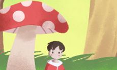 ——追寻自我成长与事业探索的奋斗史