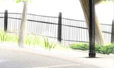 双鱼座在2014年最为牵挂哪些事情?