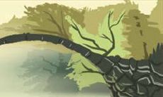 久相伴,终身伴侣:与摩羯座相配的星座