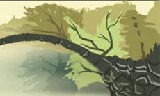 与双鱼座搭配最长久的星座,一生都能相伴相依!