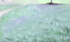 探讨金牛座的最大幸福源泉:金牛座最喜欢的事情是什么?