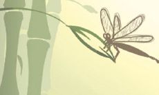 水瓶座最不喜欢观看的电影类型是哪一种?