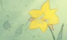 为何双鱼座会考虑换掉现有对象并寻找新的伴侣?