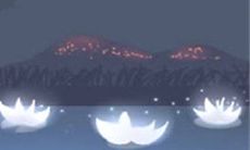 什么是狮子座最愿意原谅的事情?