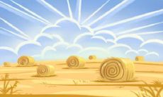 ——探索处女座人的完美生活愿景