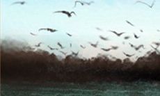 为何摩羯座男性总是独身一人无人问津的原因是什么?