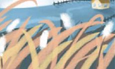 迈向自我解放：水瓶座必须放下的种种束缚与枷锁