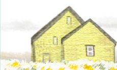 所见所闻：金牛座女性在爱情中的遭遇、机缘与机遇之场景剖析