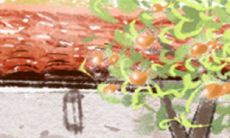 细节把控能力强的水瓶座男生心动指南：探究他们对哪种优雅、聪明、开朗、独立、细心的美眉情有独钟