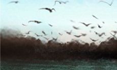 失恋对金牛座的影响有多大?会给金牛座留下怎样的负面影响和心理伤痕?